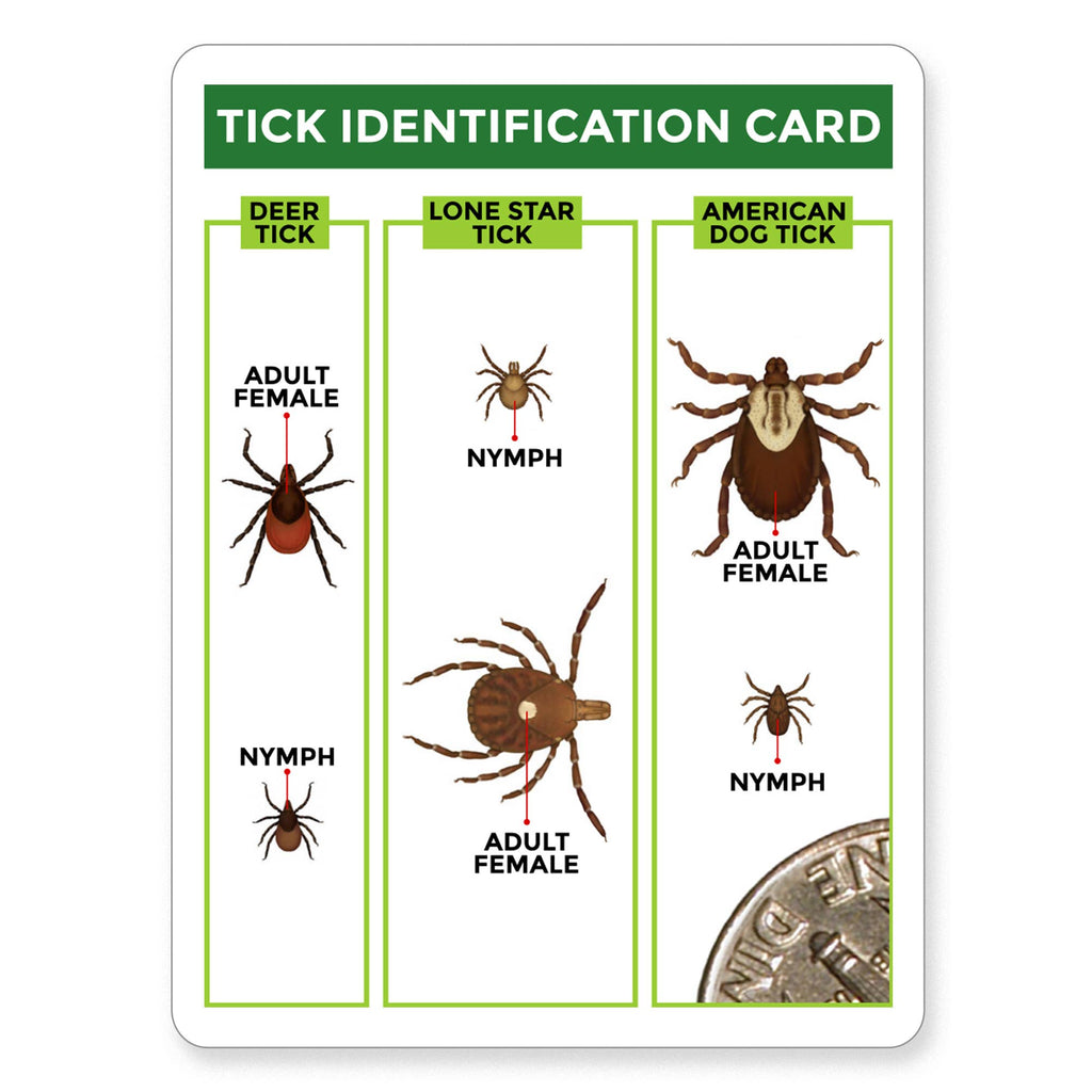 TickCheck Tick Remover Value 3 Pack- 12pc Hang Strip Display