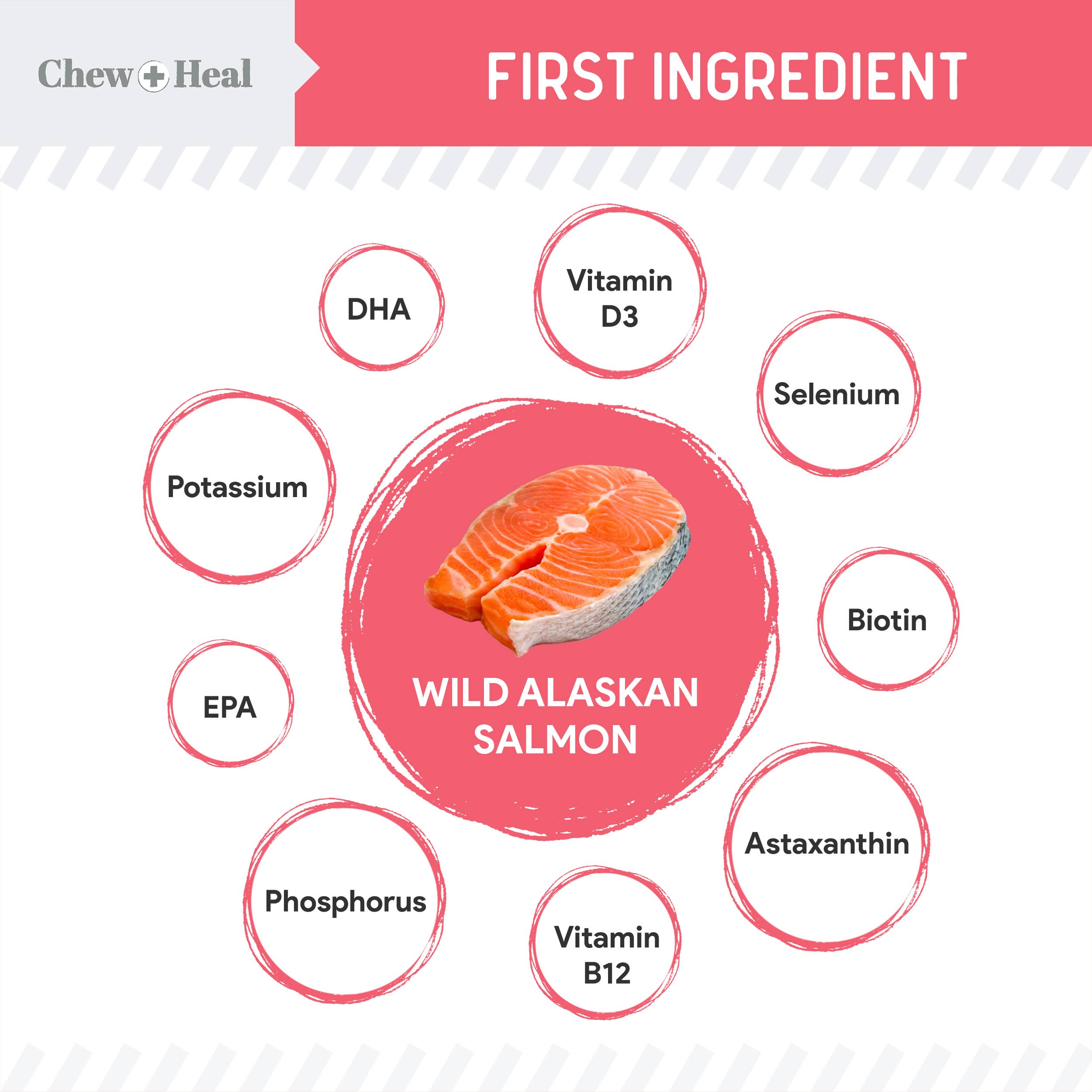 Puppy Wild Alaskan Salmon Limited Ingredient Dog Treats