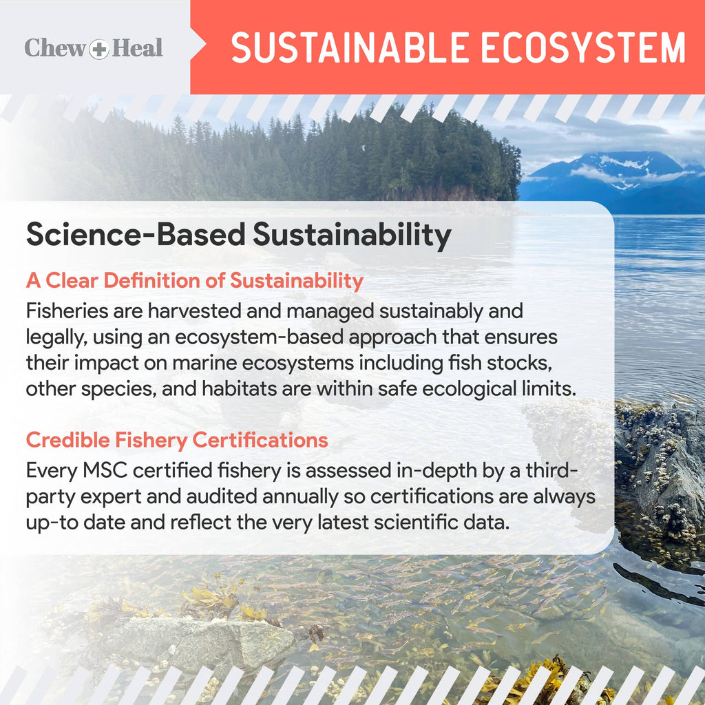 MSC-Certified Sustainable Pure Wild Alaskan Salmon Oil