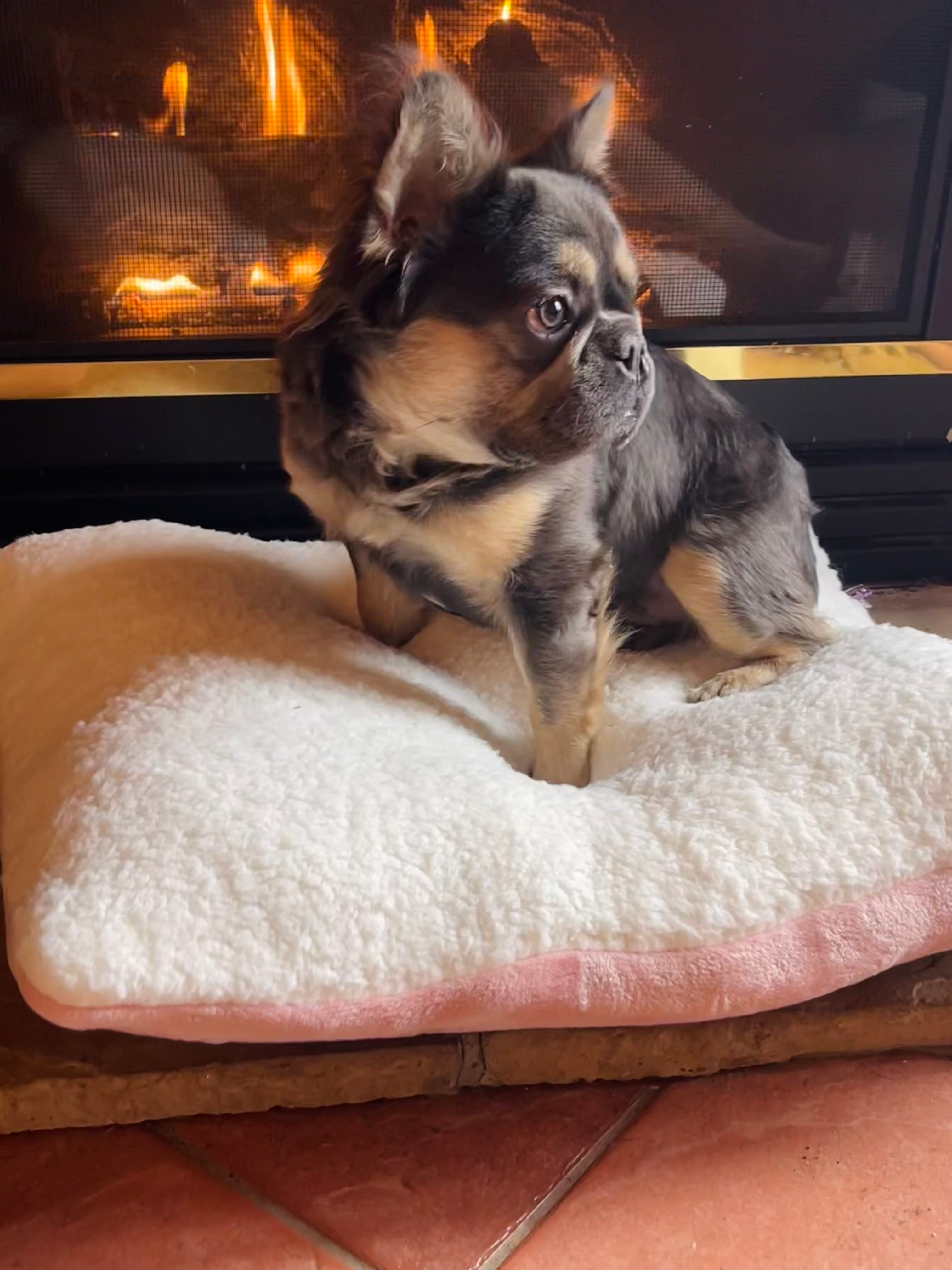 Small Dog Bed