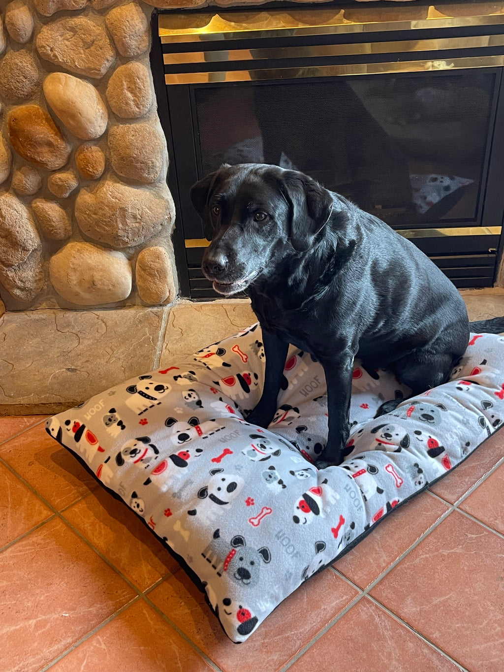 Large Dog Bed