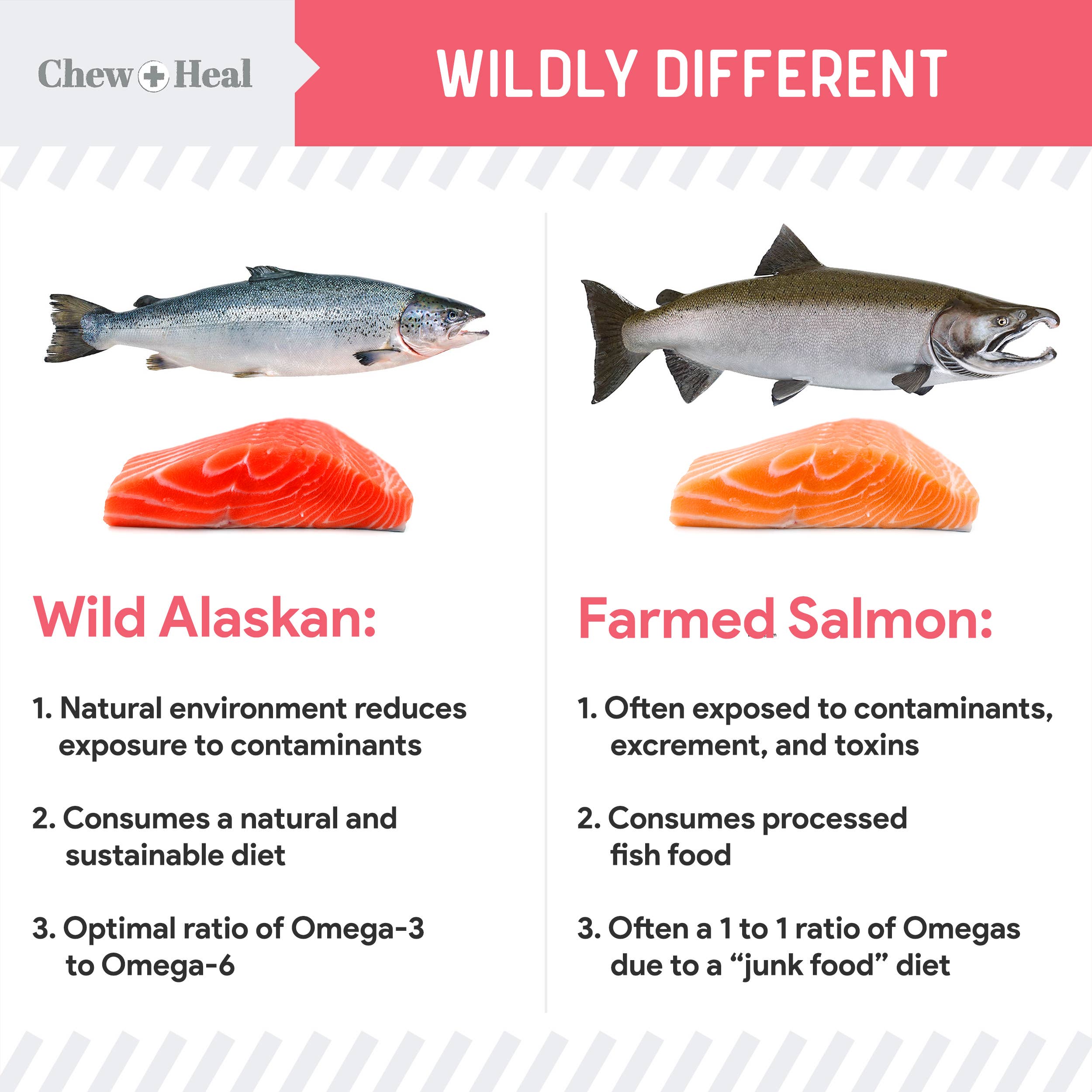 Puppy Wild Alaskan Salmon Limited Ingredient Dog Treats
