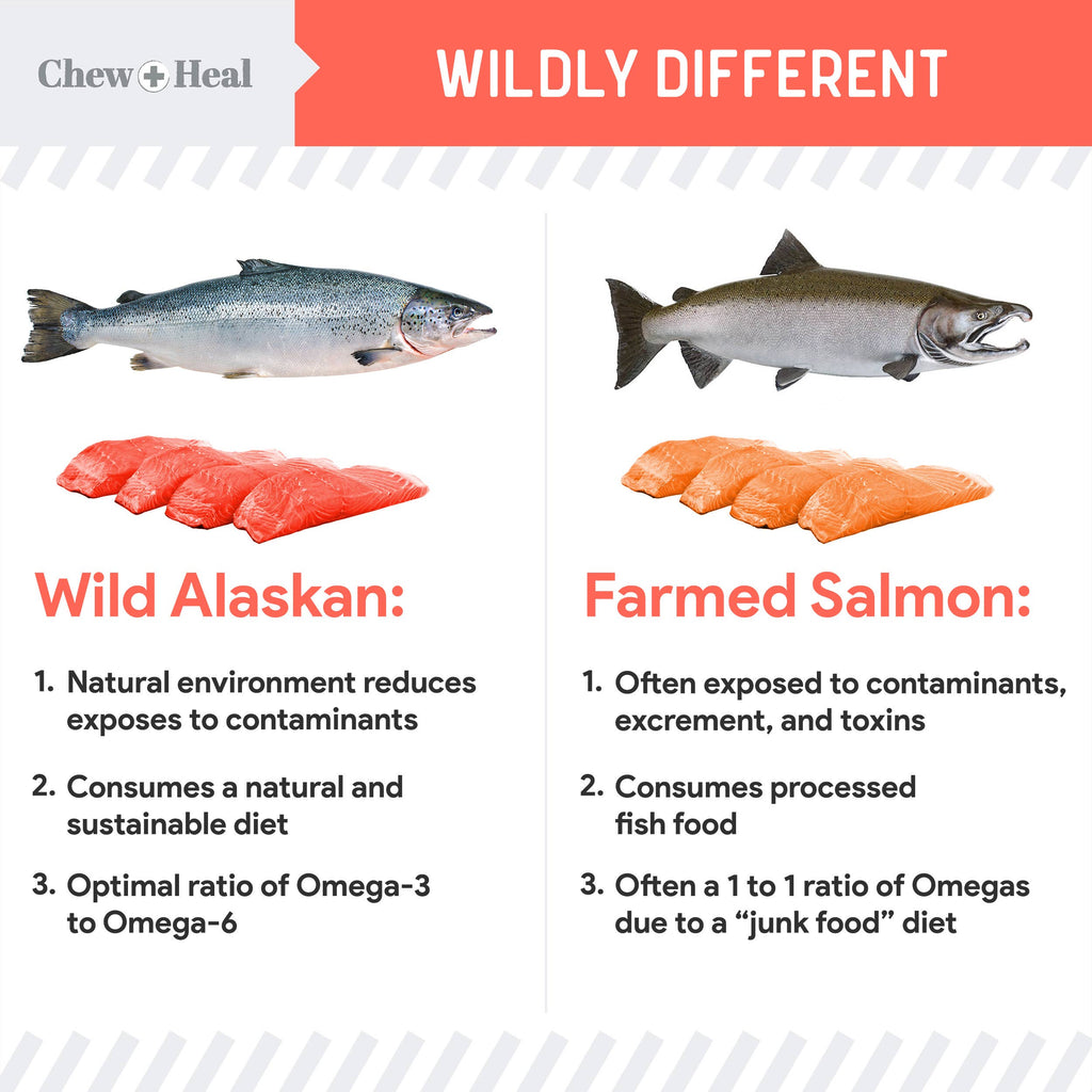 MSC-Certified Sustainable Pure Wild Alaskan Salmon Oil